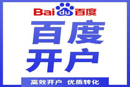 行业领先SEM托管代运营案例
